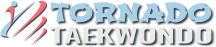 Taekwondo Martial Arts Logo