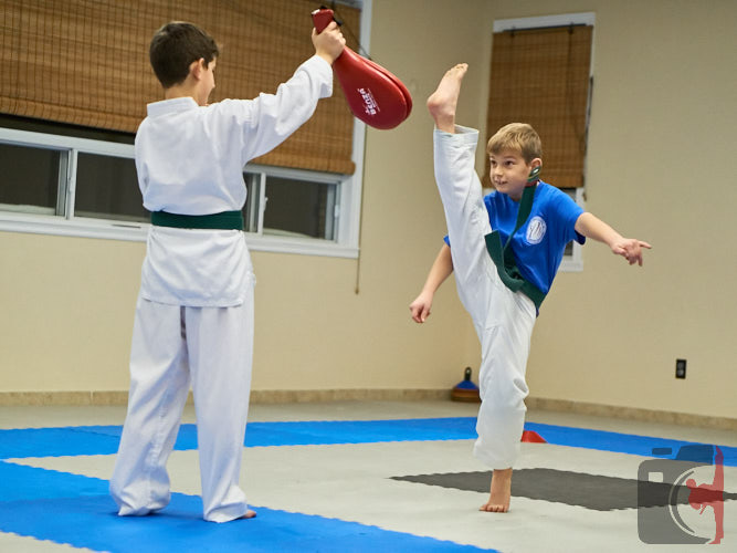 children are practicing martial arts